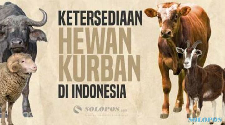 Ketersediaan Hewan Kurban di Indonesia dari Tahun ke Tahun