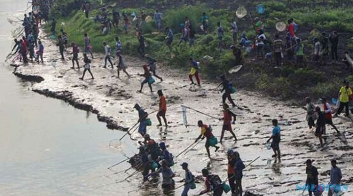 Berbahaya! Masih Ada Warga Tangkap Ikan Pakai Setrum dan Racun Potas di Jateng