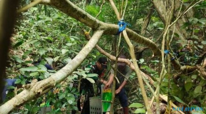Puluhan Satwa Dilindungi Dilepas di Pulau Terluar Jember