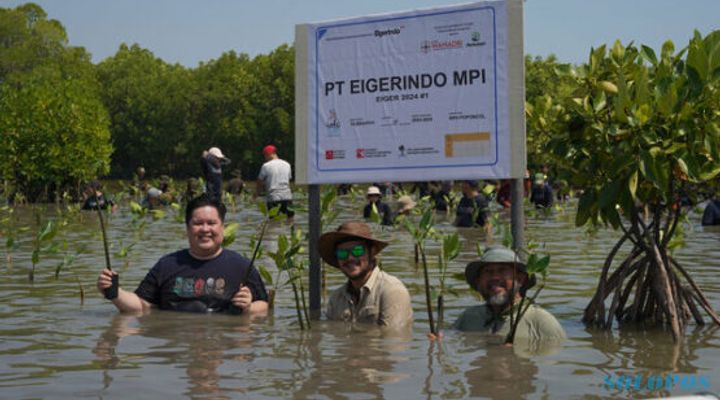 10.000 Pohon Mangrove dari EIGER untuk Selamatkan Pesisir Pantura