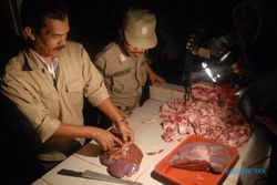 RAZIA PASAR : Dinas Jogja Pastikan Pasar Tradisional Bebas Daging Gelonggongan