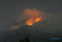 Kebakaran hutan Lawu terjang Karanganyar