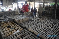 PASAR TRADISIONAL : Drainase Pasar Ayam Tersumbat, Limbah ke Permukiman Warga.