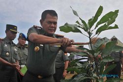 Desa Selopamioro Tanam Ribuan Pohon untuk Cegah Longsor