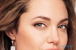 Angelina Jolie bakal jadi "Ratu Mesir"