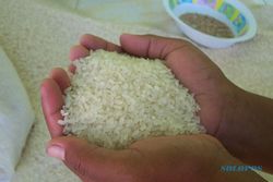Pemkot siapkan usulan OP beras