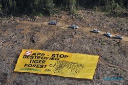 SATWA LANGKA : Polda Riau Tangkap 2 Pemburu Harimau dan Beruang