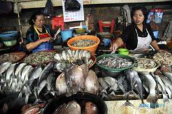 Produksi Ikan Tangkap di Kulonprogo 1.217 Ton