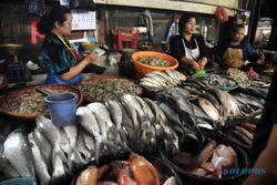 Siapa Berminat Kelola Pasar Ikan Higienis?