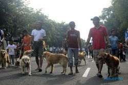 PENCURIAN KULONPROGO : Kehilangan Anjing Kesayangan, Warga Gunung Gempal Lapor Polisi
