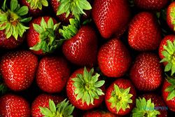 Strawberry, penjaga kekebalan tubuh
