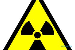 Korban radiasi nuklir di Jepang bertambah jadi 19 orang
