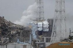 Plutonium terdeteksi di tanah di PLTN Fukushima  