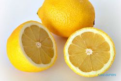 Lemon pembersih pencernaan