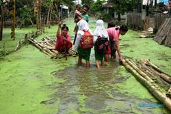 4 Desa di Tuban terendam banjir luapan Bengawan Solo