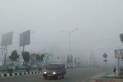 Kabut asap ganggu penerbangan di Riau 