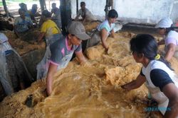 INVESTASI INDONESIA : Pabrik Sagu Terbesar di Indonesia Resmi Beroperasi di Kais Papua Barat
