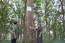 Bupati Grobogan minta kawasan Sendang Coyo jadi hutan lindung