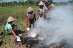 Gagal panen, petani bakar SPPT PBB