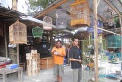 PENCURIAN DI PASAR BURUNG : Ratusan Pedagang Pasar Burung Jogja Mengadu ke Pemkot 