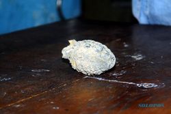 PENEMUAN AMUNISI : Granat dan Ratusan Peluru Ditemukan dalam Gudang di Wonogiri