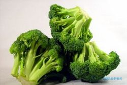 Brokoli sumber air untuk tubuh