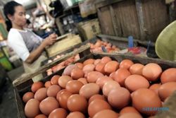 Pemerintah pastikan pasokan ayam dan telur aman 