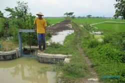 PERTANIAN BOYOLALI : 9 Kecamatan Terima Bantuan Pengembangan Jaringan Irigasi