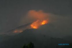Kebakaran hutan di lereng Lawu timbulkan kerugian  biologis