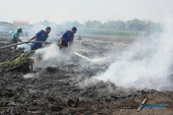 Los tembakau terbakar, kerugian ratusan juta