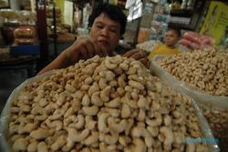  Harga kacang mete tembus Rp 90.000/kg