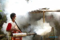Kecamatan Bulu, Sukoharjo masih langganan chikungunya