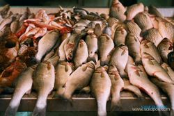 Capai kesepakatan dengan pihak ketiga,  Pasar Ikan Balekambang segera beroperasi