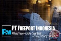 KESEMPATAN KERJA : Freeport Indonesia Butuh 5.000 Karyawan Baru 