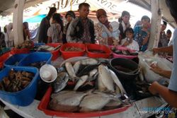 Tangkapan ikan nelayan DIY menurun drastis