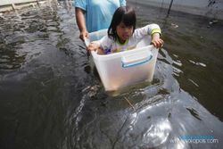 Pemerintah Thailand makin pusing tangani banjir