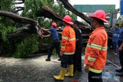 ANGIN KENCANG MELANDA JOGJA