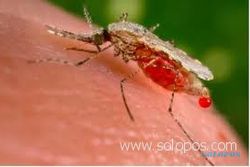  2011,  Malaria di Klaten capai 5 kasus