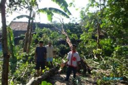 4 Kecamatan di Klaten diterjang puting beliung