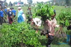  Ratusan warga Kemuning berebut bibit pohon