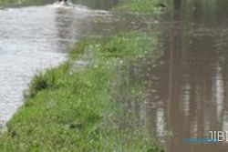  10 Hektar sawah di Potronayan terendam banjir 