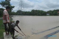 Tergenang Banjir, 80 Hektare Sawah Terancam Rusak