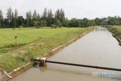 IRIGASI BOYOLALI : Seribu Hektare Sawah Tak Kejatah Air Waduk Bade