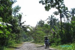  JALAN RUSAK, Desa Karangwaru Harapkan Bantuan