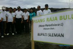Angkasa Pura I Tanam 15.000 Pohon Pisang di Merapi