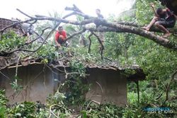 Puting Beliung Rusak Puluhan Rumah dan Tumbangkan Pohon di Magetan