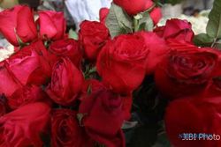 HARI VALENTINE: Pedagang Bunga Tambah Stok Mawar