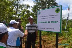 GO GREEN: Pegadaian Tanam 100.000 Batang Pohon di Girimarto