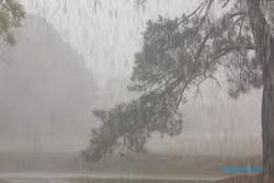 BMKG Prakirakan Hujan Lebat Guyur Sebagian Besar Kota Besar di Indonesia