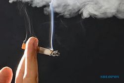 KAMPUNG MENDUNGAN : Swadaya Mempertahankan Status Bebas Asap Rokok